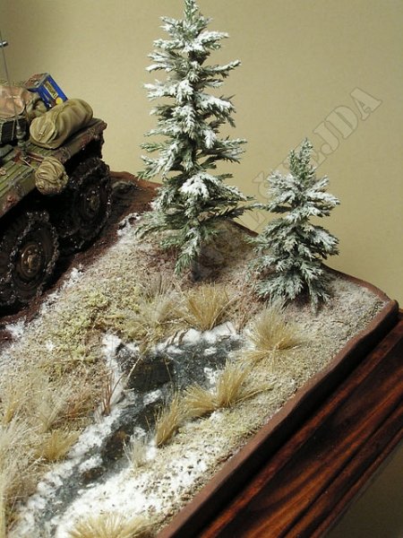 J10.jpg - zasněžen&eacute; jehličnany u zamrzl&eacute;ho poroka