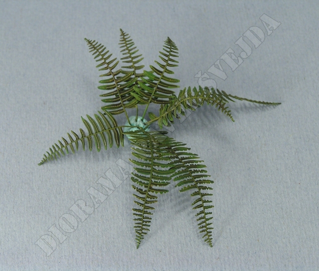 fk9.jpg - př&iacute;klad použit&iacute; trsů kapradin