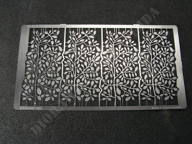 fl1.jpg - fotoleptan&eacute; list&iacute; dubu