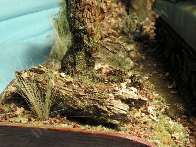 kmeny10..jpg - kus kmene v pozad&iacute; s dubem v dior&aacute;mě Podzim 1944