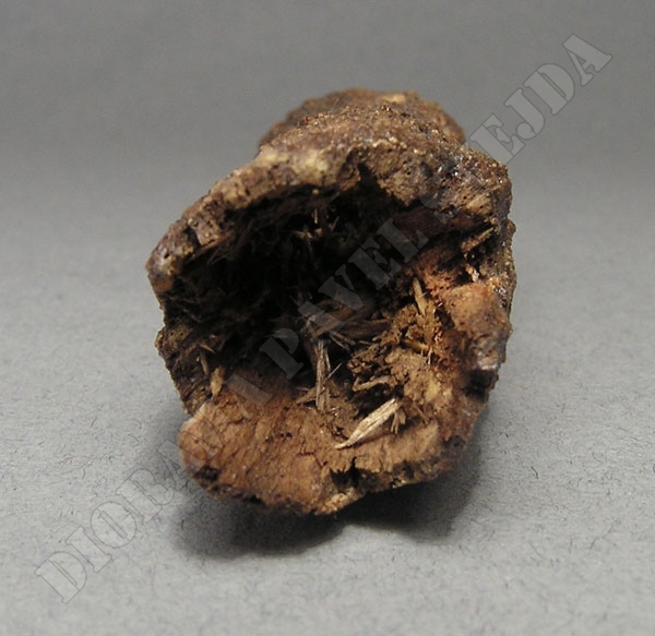 kmeny7.jpg - detail vnitřku shnil&eacute;ho kmene