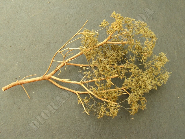 ker10.jpg - Tady jsem použil větvičky Fine-leaf foliage od Woodland Scenics.