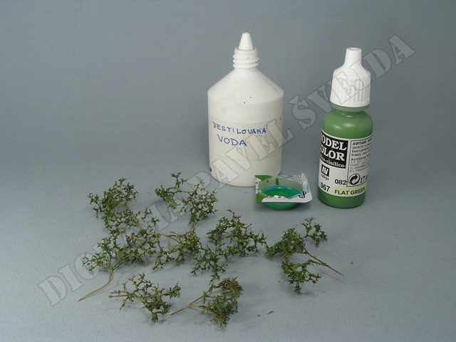 vrba15.jpg - List&iacute; je obarveno n&aacute;střikem barvou Vallejo Flat Green.