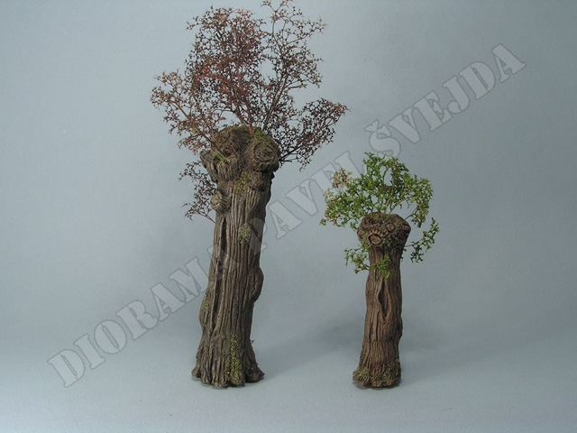 vrba19.jpg - Hotov&eacute; vrby, patrn&yacute; je rozd&iacute;l ve zbarven&iacute; kmenů mlad&eacute; a star&eacute; vrby.