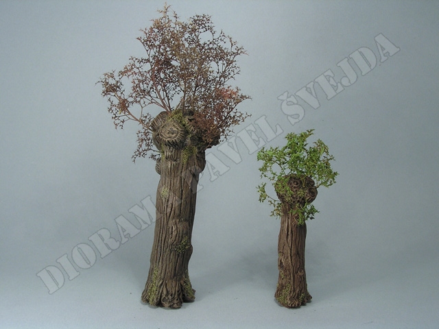 vrba20.jpg - Hotov&eacute; vrby, patrn&yacute; je rozd&iacute;l ve zbarven&iacute; kmenů mlad&eacute; a star&eacute; vrby.